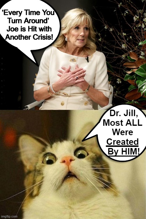 Jill Biden Whines at a Fundraiser & Smart Cat Responds That Joe's Policies CREATED the Chaos! |  ‘Every Time You 
Turn Around’ 
Joe is Hit with
Another Crisis! Dr. Jill,
Most ALL 
Were 
Created 
By HIM! ____; ____ | image tagged in politics,joe biden,doctor jill biden,smart cat,knows more than dumb democrats,can we trade joe for smart cat | made w/ Imgflip meme maker