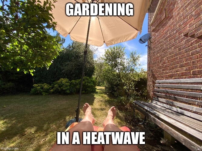 Gardening in a Heatwave |  GARDENING; IN A HEATWAVE | image tagged in parasol,sunshine,legs | made w/ Imgflip meme maker