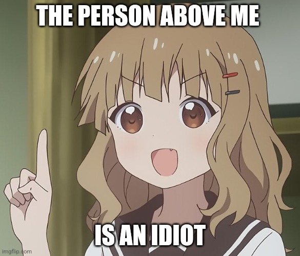 The person above me | THE PERSON ABOVE ME; IS AN IDIOT | image tagged in the person above me | made w/ Imgflip meme maker