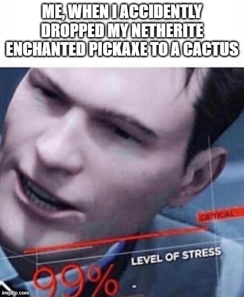 Level of Stress 99 % | ME, WHEN I ACCIDENTLY DROPPED MY NETHERITE ENCHANTED PICKAXE TO A CACTUS | image tagged in level of stress 99 | made w/ Imgflip meme maker