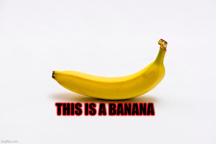 Bananas | THIS IS A BANANA | image tagged in banana | made w/ Imgflip meme maker