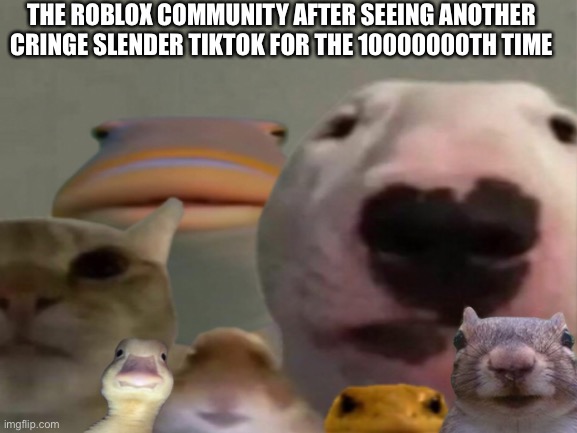 not funny didn’t laugh | THE ROBLOX COMMUNITY AFTER SEEING ANOTHER CRINGE SLENDER TIKTOK FOR THE 10000000TH TIME | image tagged in memes,roblox,gifs | made w/ Imgflip meme maker