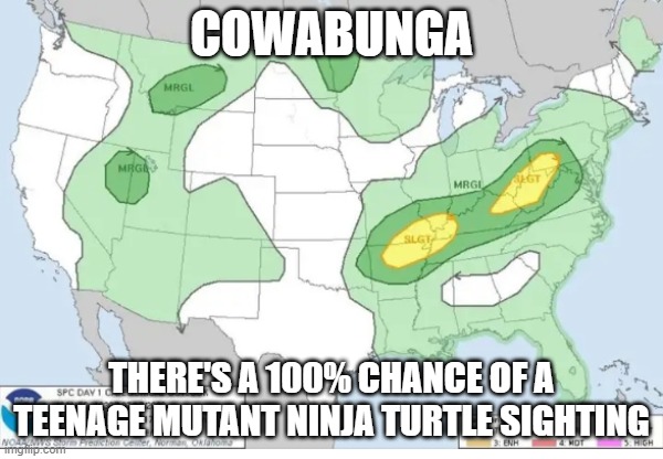 Weather map | COWABUNGA; THERE'S A 100% CHANCE OF A TEENAGE MUTANT NINJA TURTLE SIGHTING | image tagged in weather map | made w/ Imgflip meme maker