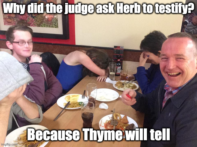 I hope he doesn't spoil it | Why did the judge ask Herb to testify? Because Thyme will tell | image tagged in dad joke meme | made w/ Imgflip meme maker