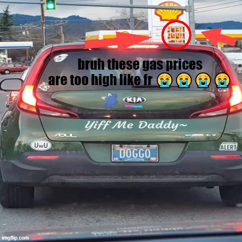 dont look at the car | bruh these gas prices are too high like fr 😭😭😭😭 | image tagged in blank white template | made w/ Imgflip meme maker
