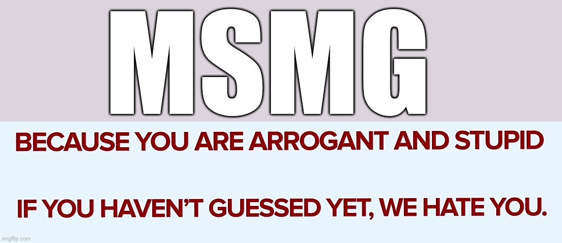 We hate you | MSMG | image tagged in we hate you | made w/ Imgflip meme maker