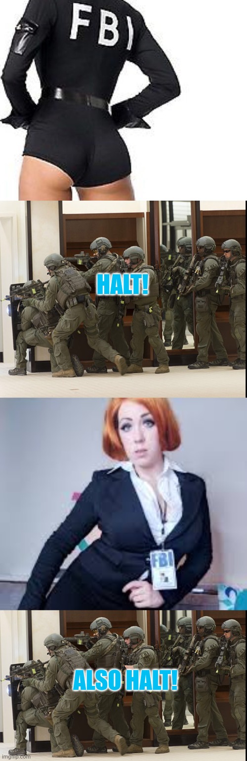 HALT! ALSO HALT! | image tagged in fbi swat | made w/ Imgflip meme maker