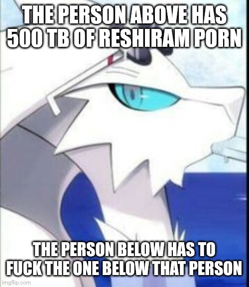 Reshiram with sunglasses | THE PERSON ABOVE HAS 500 TB OF RESHIRAM PORN; THE PERSON BELOW HAS TO FUCK THE ONE BELOW THAT PERSON | image tagged in reshiram with sunglasses | made w/ Imgflip meme maker