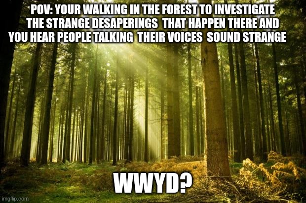 idk | POV: YOUR WALKING IN THE FOREST TO INVESTIGATE THE STRANGE DESAPERINGS  THAT HAPPEN THERE AND YOU HEAR PEOPLE TALKING  THEIR VOICES  SOUND STRANGE; WWYD? | image tagged in sunlit forest,creepypasta | made w/ Imgflip meme maker