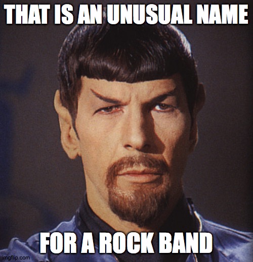 beard | THAT IS AN UNUSUAL NAME; FOR A ROCK BAND | image tagged in beard | made w/ Imgflip meme maker