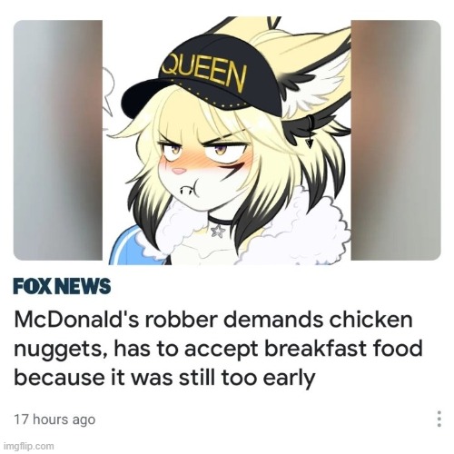 This is outrageous. (By rishi-chan) | image tagged in furry,memes,funny,mcdonalds,injustice | made w/ Imgflip meme maker