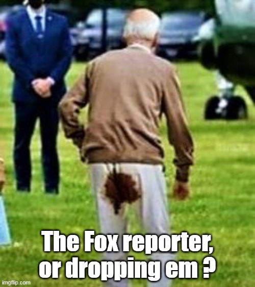 The Fox reporter, or dropping em ? | made w/ Imgflip meme maker