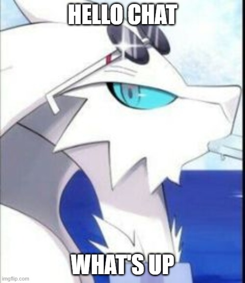 Reshiram with sunglasses | HELLO CHAT; WHAT'S UP | image tagged in reshiram with sunglasses | made w/ Imgflip meme maker