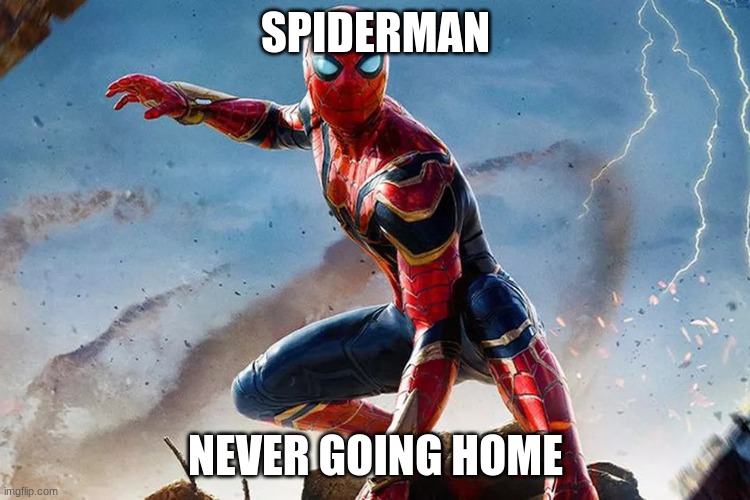 never going home |  SPIDERMAN; NEVER GOING HOME | image tagged in never going home,funny,spiderman | made w/ Imgflip meme maker