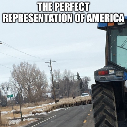 THE PERFECT REPRESENTATION OF AMERICA | made w/ Imgflip meme maker