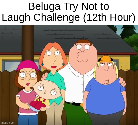 damn bro | Beluga Try Not to Laugh Challenge (12th Hour) | image tagged in damn bro | made w/ Imgflip meme maker