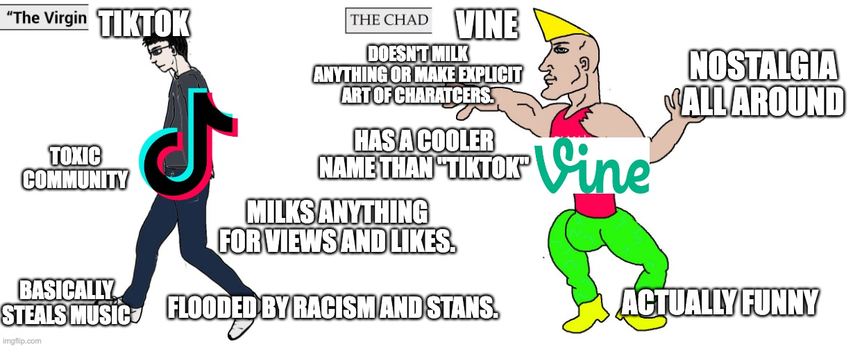 The Virgin Tiktok Vs The Chad Vine Imgflip