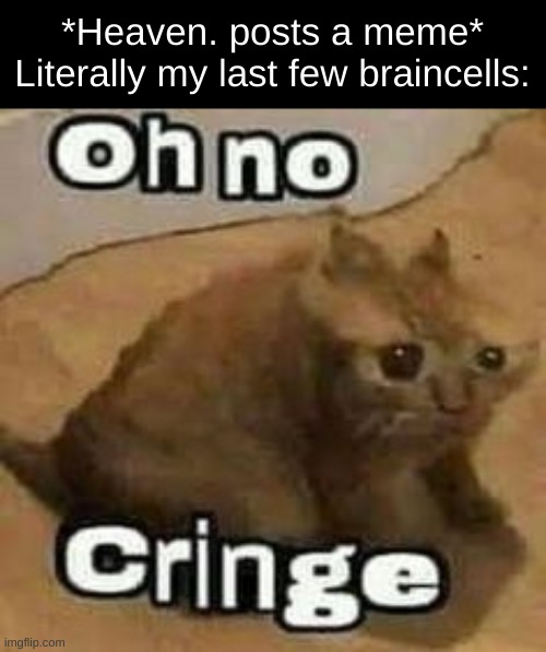 oH nO cRInGe | *Heaven. posts a meme*
Literally my last few braincells: | image tagged in oh no cringe | made w/ Imgflip meme maker
