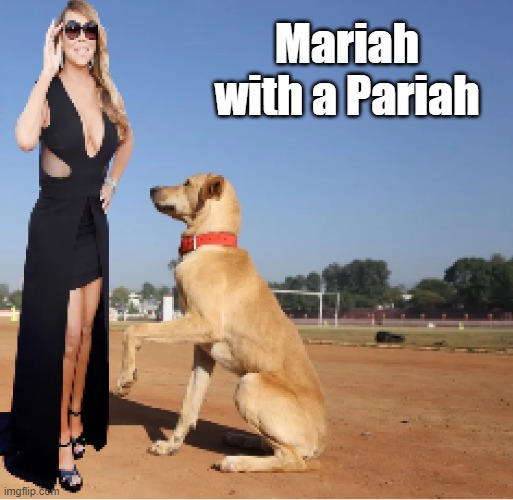 Mariah loves dogs | Mariah with a Pariah | image tagged in dogs | made w/ Imgflip meme maker