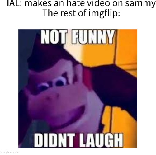 link in comments [sammy note: hehe i like it] | image tagged in not funny,didnt laugh | made w/ Imgflip meme maker