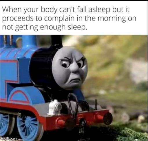image tagged in memes | made w/ Imgflip meme maker
