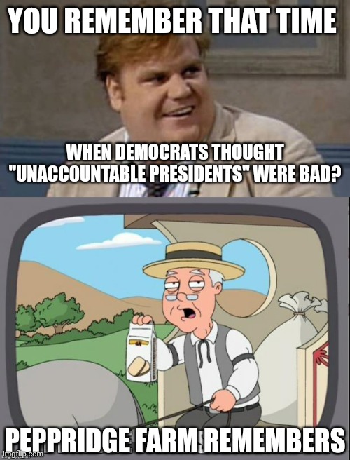 all you have to do is go back to 2020... This party really does have the memory of Biden | YOU REMEMBER THAT TIME; WHEN DEMOCRATS THOUGHT "UNACCOUNTABLE PRESIDENTS" WERE BAD? PEPPRIDGE FARM REMEMBERS | image tagged in you remember that time,pepperidge farms remembers,joe biden,president,donald trump | made w/ Imgflip meme maker