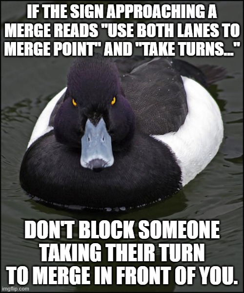 hi res angry advice mallard | IF THE SIGN APPROACHING A MERGE READS "USE BOTH LANES TO MERGE POINT" AND "TAKE TURNS..."; DON'T BLOCK SOMEONE TAKING THEIR TURN TO MERGE IN FRONT OF YOU. | image tagged in hi res angry advice mallard,AdviceAnimals | made w/ Imgflip meme maker