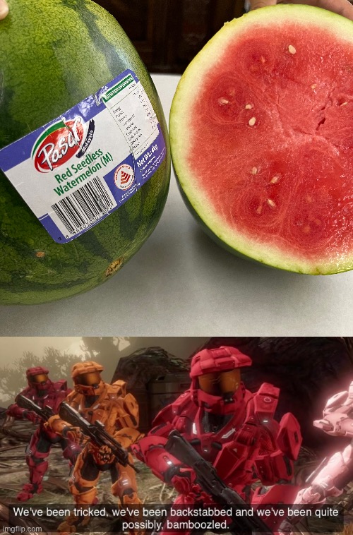Not so seedless | image tagged in we've been tricked,memes,funny,liar,watermelon,fake | made w/ Imgflip meme maker