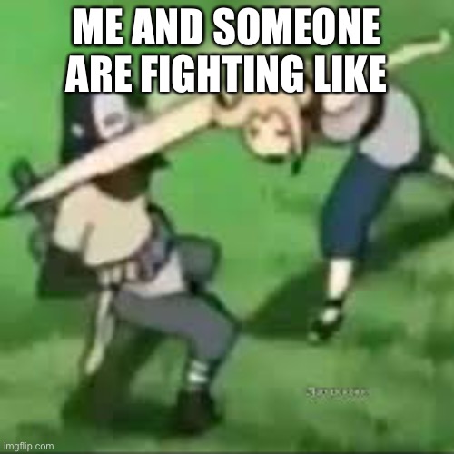 Me and someone | ME AND SOMEONE ARE FIGHTING LIKE | image tagged in funny | made w/ Imgflip meme maker