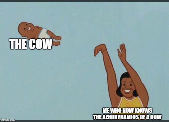 baby yeet | THE COW ME WHO NOW KNOWS THE AERODYNAMICS OF A COW | image tagged in baby yeet | made w/ Imgflip meme maker