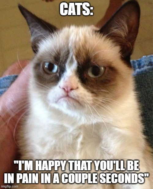 Grumpy Cat Meme | CATS: "I'M HAPPY THAT YOU'LL BE IN PAIN IN A COUPLE SECONDS" | image tagged in memes,grumpy cat | made w/ Imgflip meme maker