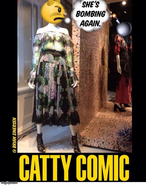 Korrection: Katty Komic | image tagged in fashion,dolce and gabbana,miu miu,window design,saks fifth avenue,brian einersen | made w/ Imgflip meme maker