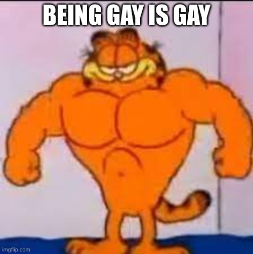 Buff garfield | BEING GAY IS GAY | image tagged in buff garfield | made w/ Imgflip meme maker