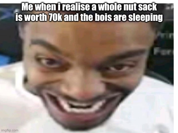 Now give |  Me when i realise a whole nut sack is worth 70k and the bois are sleeping | image tagged in flight,needs,a,nut,sack | made w/ Imgflip meme maker