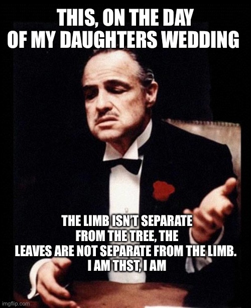 godfather | THE LIMB ISN’T SEPARATE FROM THE TREE, THE LEAVES ARE NOT SEPARATE FROM THE LIMB. 
I AM THST, I AM THIS, ON THE DAY OF MY DAUGHTERS WEDDING | image tagged in godfather | made w/ Imgflip meme maker