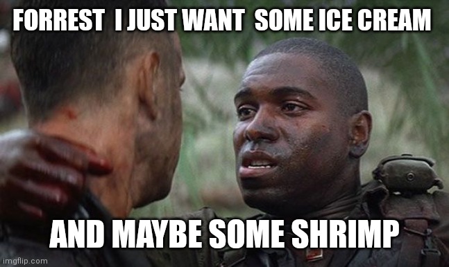 bubba | FORREST  I JUST WANT  SOME ICE CREAM AND MAYBE SOME SHRIMP | image tagged in bubba | made w/ Imgflip meme maker