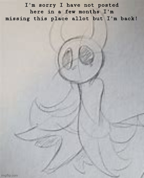 Hello | I'm sorry I have not posted here in a few months I'm missing this place allot but I'm back! | image tagged in my hollow knight art | made w/ Imgflip meme maker