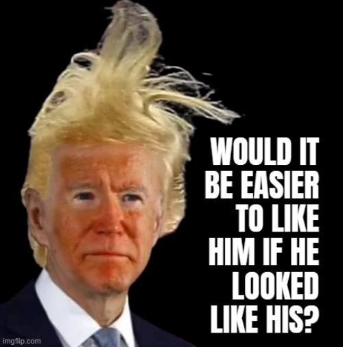 WOULD IT?! | image tagged in biden,derangement,syndrome,donald trump hair,donald trump the clown,donald trump derp | made w/ Imgflip meme maker