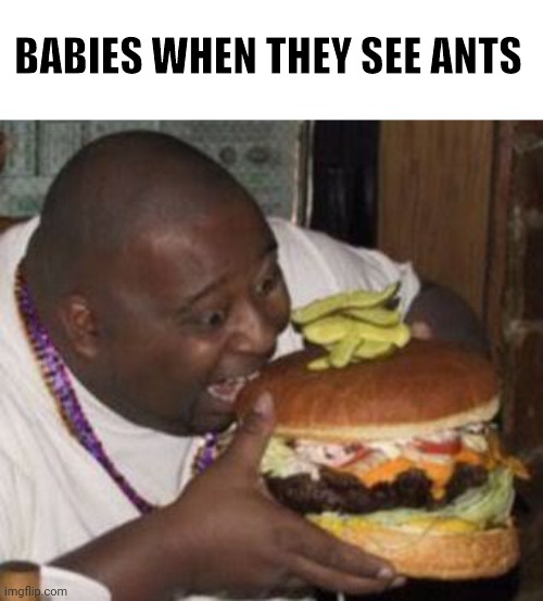 Ants | BABIES WHEN THEY SEE ANTS | image tagged in weird-fat-man-eating-burger | made w/ Imgflip meme maker