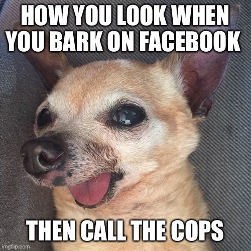 Drewcifer | HOW YOU LOOK WHEN YOU BARK ON FACEBOOK; THEN CALL THE COPS | image tagged in facebook | made w/ Imgflip meme maker