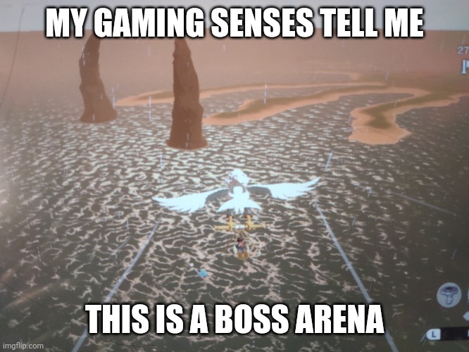 I explored the area. There was nothing. Kinda disappointing | MY GAMING SENSES TELL ME; THIS IS A BOSS ARENA | made w/ Imgflip meme maker