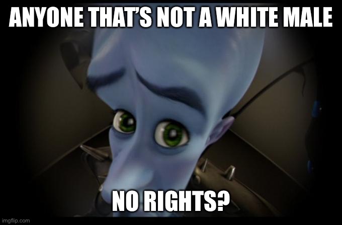 No B****es? | ANYONE THAT’S NOT A WHITE MALE NO RIGHTS? | image tagged in no b es | made w/ Imgflip meme maker