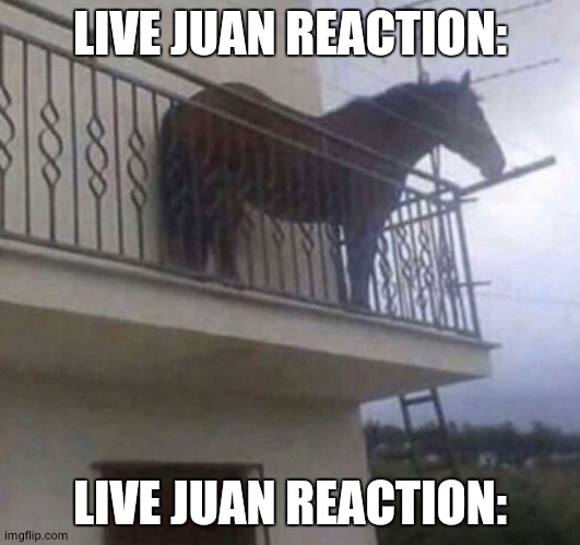 Juan | LIVE JUAN REACTION: LIVE JUAN REACTION: | image tagged in juan | made w/ Imgflip meme maker