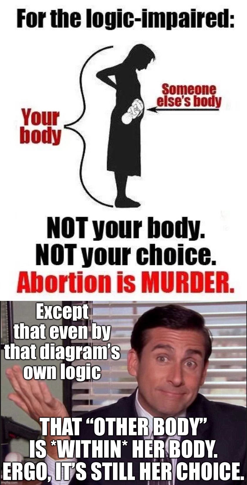 I get why some view abortion as morally wrong on some level, but controlling your own body can’t be murder. | Except that even by that diagram’s own logic; THAT “OTHER BODY” IS *WITHIN* HER BODY. ERGO, IT’S STILL HER CHOICE. | image tagged in michael scott,pro-choice,abortion,womens rights,human rights,gender equality | made w/ Imgflip meme maker