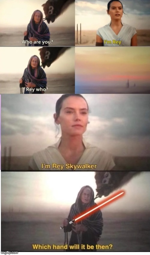 Follow the path all Skywalkers have! ... well 95% of them. | image tagged in rey who,skywalker | made w/ Imgflip meme maker