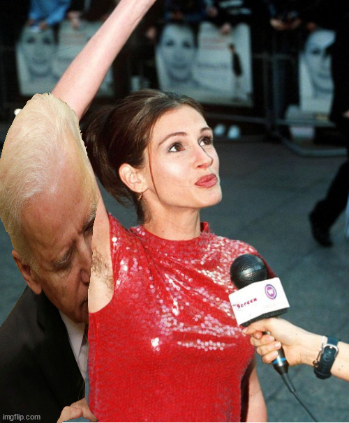 Joe dives into the hairy armpit. What's next? | image tagged in memes,politics | made w/ Imgflip meme maker