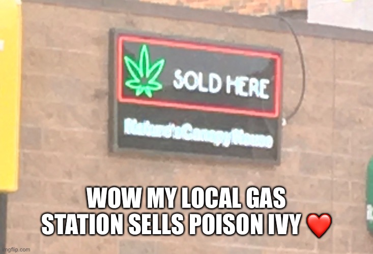 How unique | WOW MY LOCAL GAS STATION SELLS POISON IVY ❤️ | image tagged in weed | made w/ Imgflip meme maker