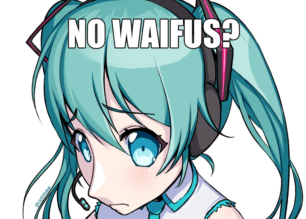 no waifus? Blank Meme Template