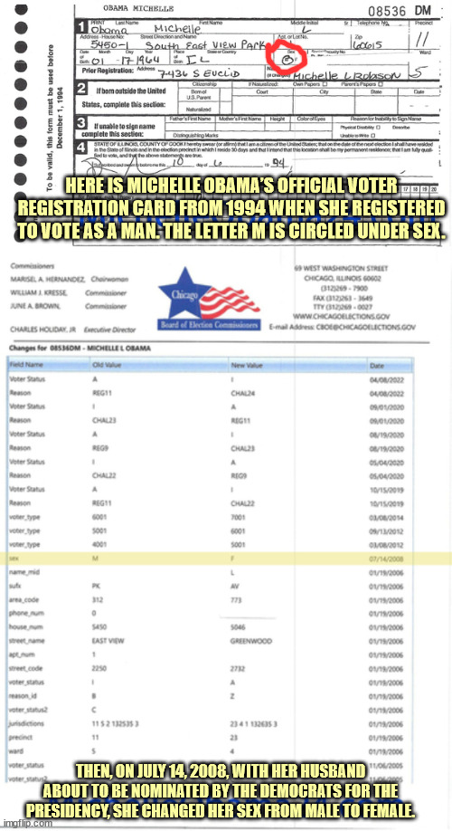 HERE IS MICHELLE OBAMA’S OFFICIAL VOTER REGISTRATION CARD FROM 1994 WHEN SHE REGISTERED TO VOTE AS A MAN. THE LETTER M IS CIRCLED UNDER SEX. | made w/ Imgflip meme maker