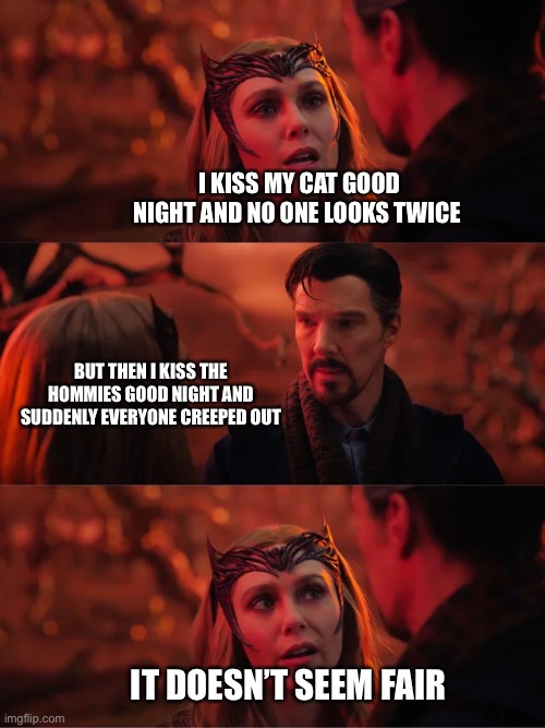 That Doesn't Seem Fair |  I KISS MY CAT GOOD NIGHT AND NO ONE LOOKS TWICE; BUT THEN I KISS THE HOMMIES GOOD NIGHT AND SUDDENLY EVERYONE CREEPED OUT; IT DOESN’T SEEM FAIR | image tagged in that doesn't seem fair | made w/ Imgflip meme maker